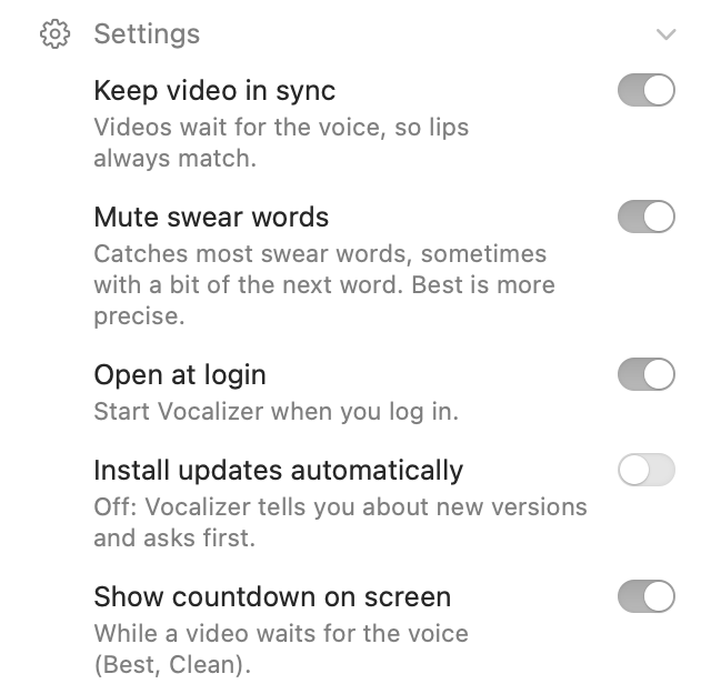 Vocalizer Settings with the Mute swear words switch